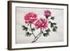 Peonies-Surovtseva-Framed Art Print