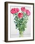 Peonies-Christopher Ryland-Framed Giclee Print