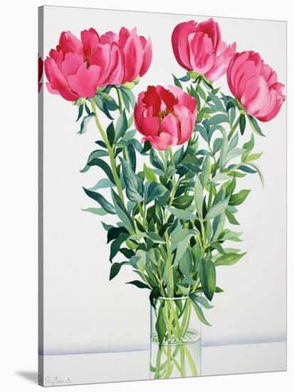 Peonies-Christopher Ryland-Stretched Canvas