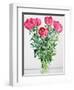 Peonies-Christopher Ryland-Framed Premium Giclee Print