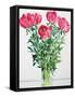 Peonies-Christopher Ryland-Framed Stretched Canvas