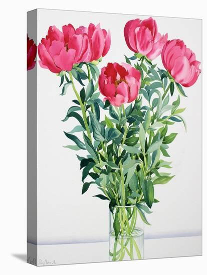 Peonies-Christopher Ryland-Stretched Canvas