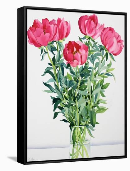 Peonies-Christopher Ryland-Framed Stretched Canvas