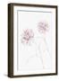 Peony 03-1x Studio II-Framed Giclee Print