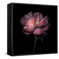 Peony 1-Magda Indigo-Framed Stretched Canvas