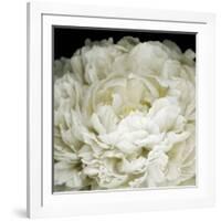 Peony 78-Doris Mitsch-Framed Photographic Print