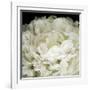 Peony 78-Doris Mitsch-Framed Photographic Print