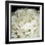 Peony 78-Doris Mitsch-Framed Photographic Print