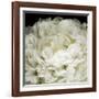 Peony 78-Doris Mitsch-Framed Photographic Print