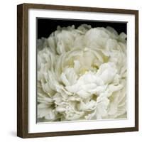 Peony 78-Doris Mitsch-Framed Photographic Print