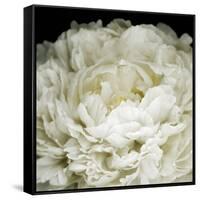 Peony 78-Doris Mitsch-Framed Stretched Canvas