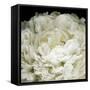 Peony 78-Doris Mitsch-Framed Stretched Canvas