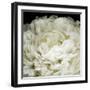 Peony 78-Doris Mitsch-Framed Premium Photographic Print