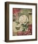 Peony and Butterfly-Lisa Audit-Framed Art Print