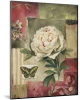 Peony and Butterfly-Lisa Audit-Mounted Giclee Print