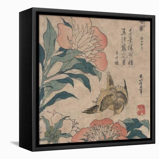 Peony and Canary, circa 1825-Katsushika Hokusai-Framed Stretched Canvas