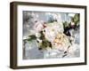 Peony Bloom-Alexys Henry-Framed Giclee Print