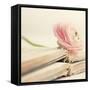 Peony Books Square-Sarah Gardner-Framed Stretched Canvas