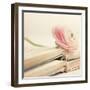 Peony Books Square-Sarah Gardner-Framed Photographic Print