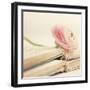 Peony Books Square-Sarah Gardner-Framed Photographic Print