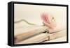 Peony Books-Sarah Gardner-Framed Stretched Canvas