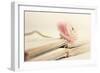 Peony Books-Sarah Gardner-Framed Photographic Print