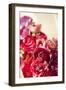 Peony Bouquet I-Karyn Millet-Framed Photographic Print