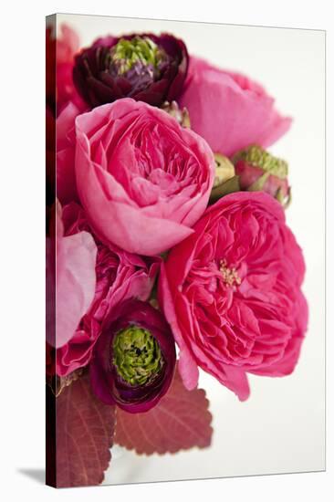 Peony Bouquet II-Karyn Millet-Stretched Canvas