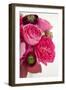 Peony Bouquet II-Karyn Millet-Framed Premium Photographic Print