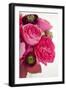 Peony Bouquet II-Karyn Millet-Framed Premium Photographic Print