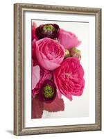 Peony Bouquet II-Karyn Millet-Framed Photographic Print