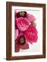 Peony Bouquet II-Karyn Millet-Framed Photographic Print