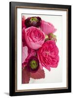 Peony Bouquet II-Karyn Millet-Framed Photographic Print