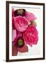 Peony Bouquet II-Karyn Millet-Framed Photographic Print