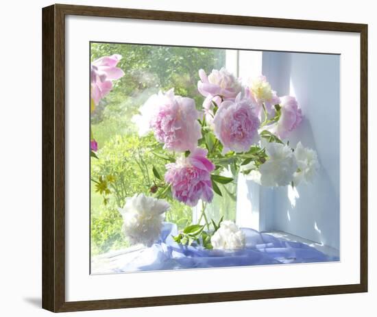 Peony Bouquet-Judy Stalus-Framed Premium Giclee Print