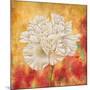 Peony Dawn II-Sophia Sanchez-Mounted Art Print