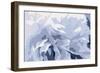 Peony Delight-Moira Hershey-Framed Art Print