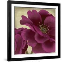 Peony Dusk II-Linda Wood-Framed Art Print