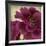 Peony Dusk II-Linda Wood-Framed Art Print