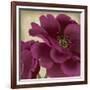 Peony Dusk II-Linda Wood-Framed Art Print