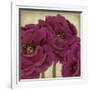 Peony Dusk II-Linda Wood-Framed Art Print