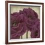 Peony Dusk II-Linda Wood-Framed Giclee Print