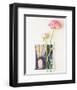 Peony, Euro-Floral-Dorothy Gaubert Pyle-Framed Art Print