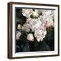 Peony Fancy-Tania Bello-Framed Giclee Print