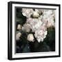 Peony Fancy-Tania Bello-Framed Giclee Print