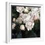 Peony Fancy-Tania Bello-Framed Giclee Print