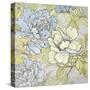 Peony Fascination II-Lanie Loreth-Stretched Canvas