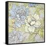 Peony Fascination II-Lanie Loreth-Framed Stretched Canvas