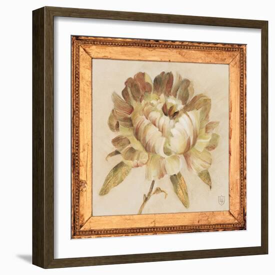 Peony Floret Detail-Lauren Hamilton-Framed Art Print