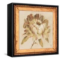 Peony Floret Detail-Lauren Hamilton-Framed Stretched Canvas